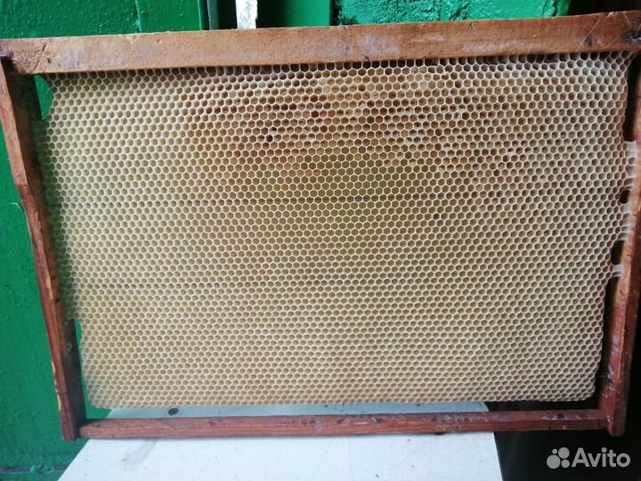 Пчелы и улья