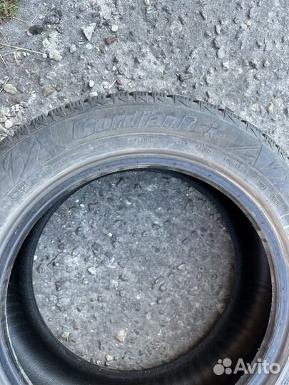 Cordiant Winter Drive 205/55 R16