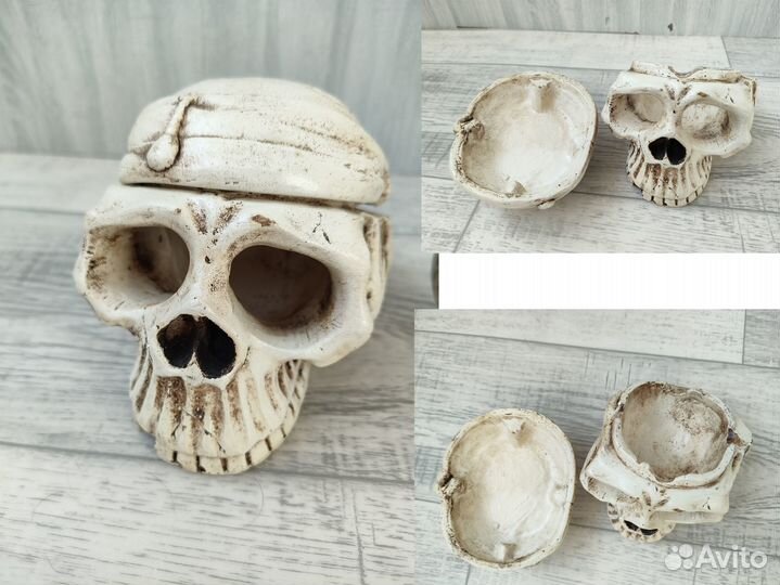Черепа из коллекции