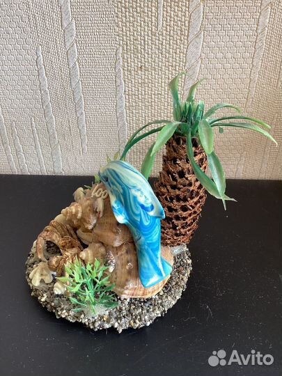 Сувенир с натуральными ракушками