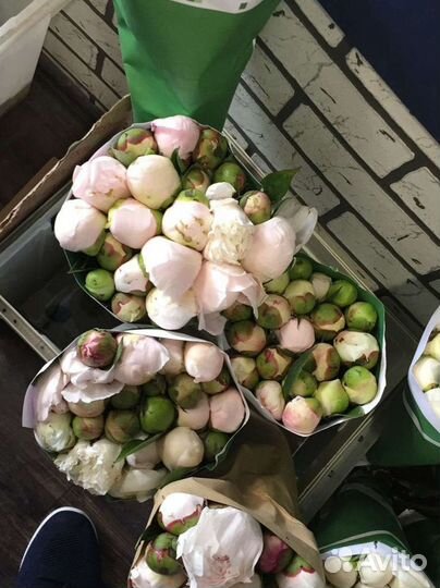 Пионы белые с доставкой Под заказ