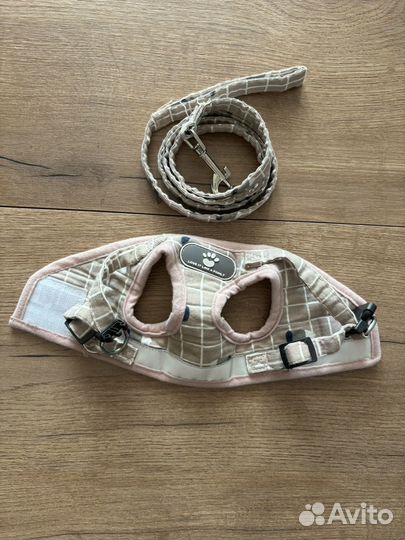 Одежда для собак