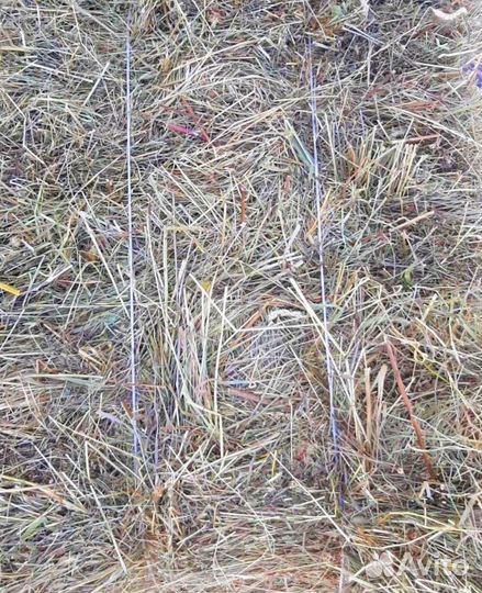 Сено арт. клм-1705 В наличии