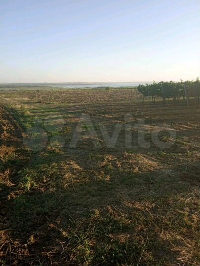 Участок 1,4 га (ИЖС)