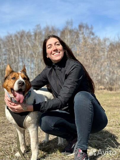 Эта сладкая булочка ищет своего хозяина