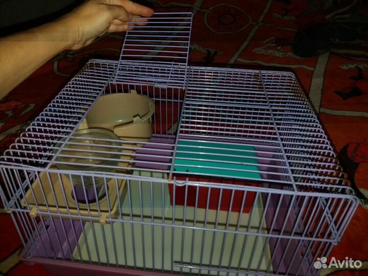 Клетки разные