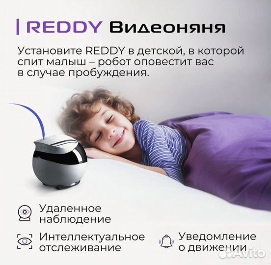 Reddy Air - робот для ваших питомцев, и радионяня