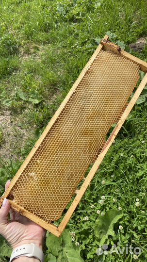 Сушь магазинная