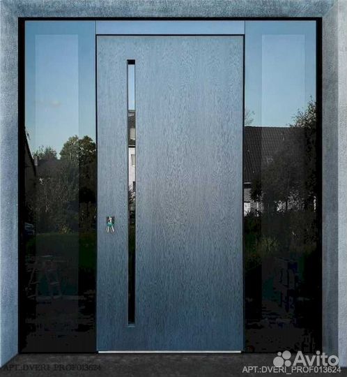 Двери с биометрией DV-6967