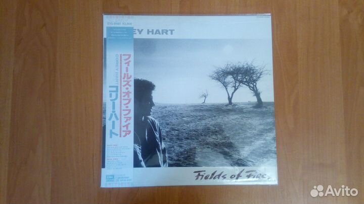 Виниловые пластинки -5