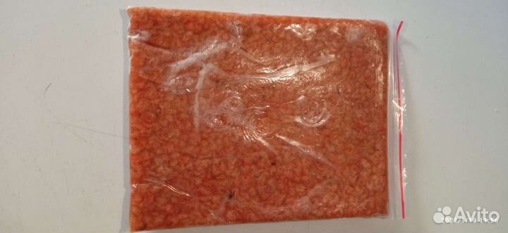 Замороженный корм для аквариумных рыб