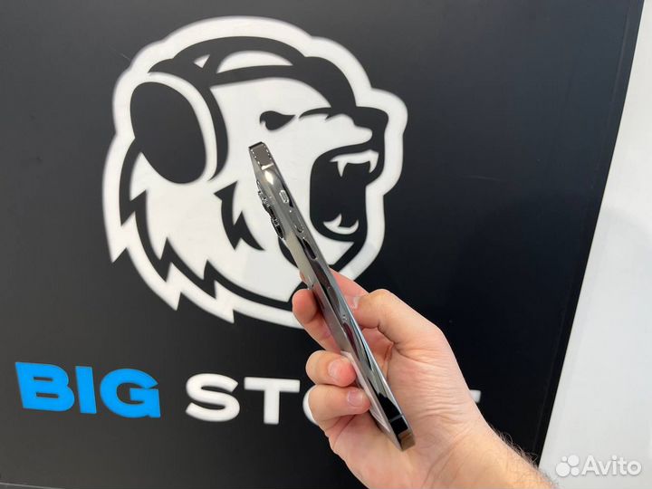 iPhone 12 Pro Max, 256 ГБ