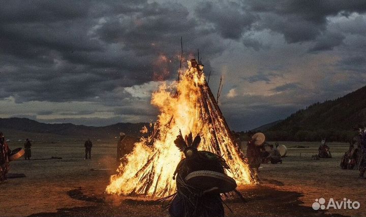 Чай пуэр « Космос шаманов » шмн14491