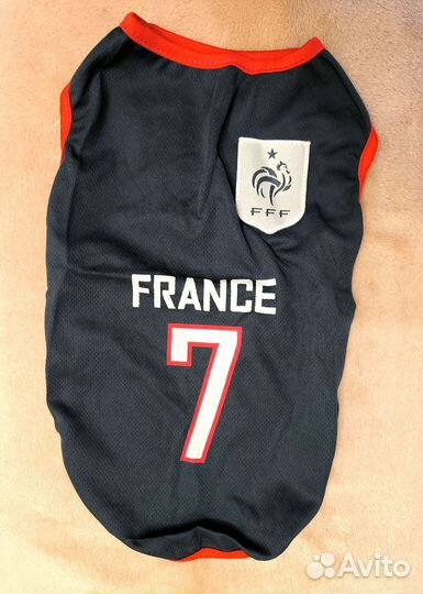 Одежда для животных новая