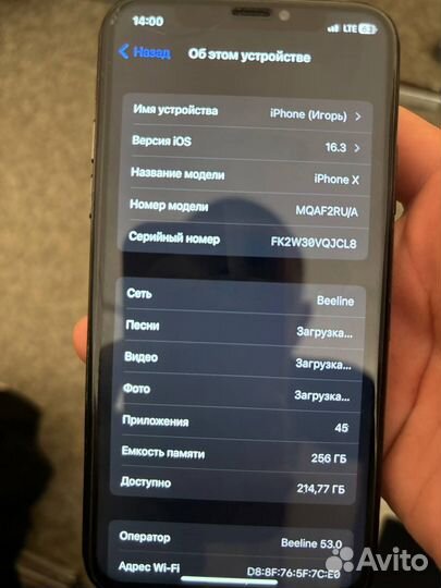 iPhone X, 256 ГБ