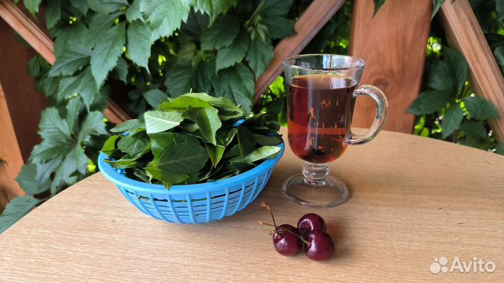 Вишневый, смородиновый лист, зверобой, душица