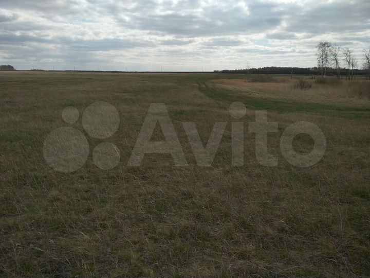Участок 9,1 га (СНТ, ДНП)