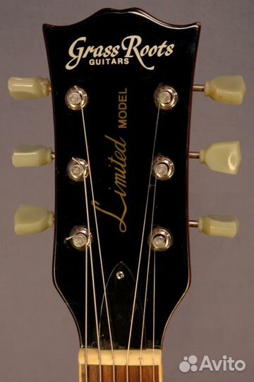 Grass Roots by ESP Les Paul Goldtop Korea