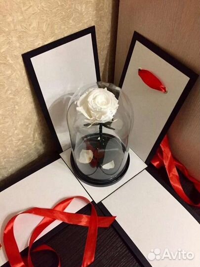 Живая роза в колбе