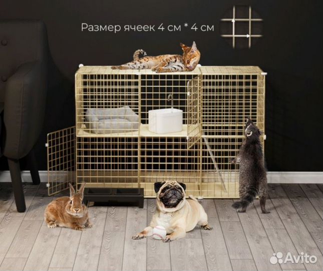 Зоогостиница для кошек