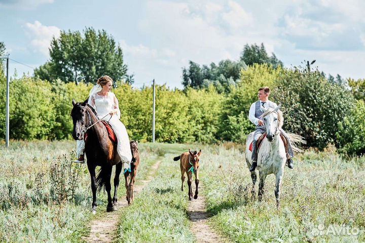 Поющий ведущий,тамада на свадьбу,юбилей,корпоратив