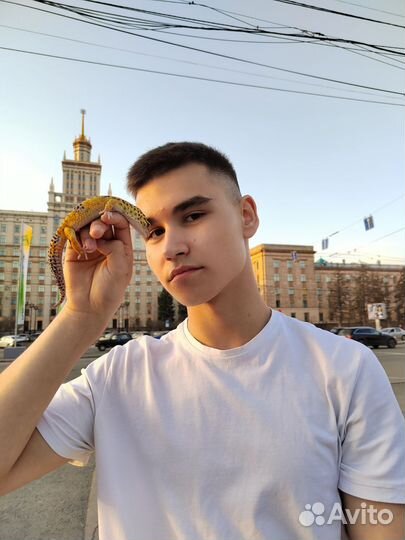 Рептилии для фотосессии