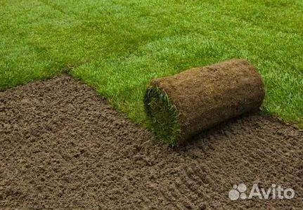 Гидропосев