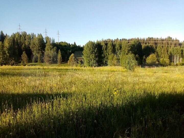 Участок 50 сот. (ИЖС)