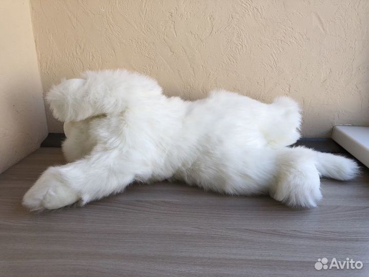 Кошечка.Morbidelli.Бульдог.Новые игрушки.Италия