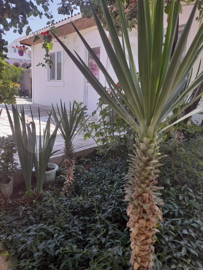 Комната 16 м², 1/1 эт.