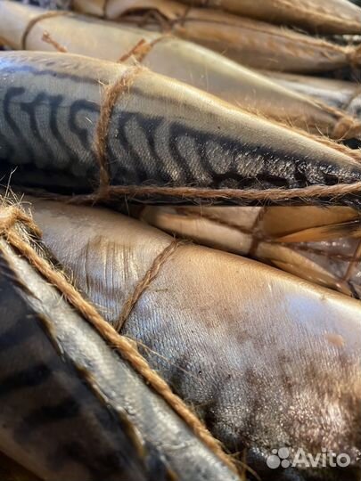 Скумбрия холодного копчения