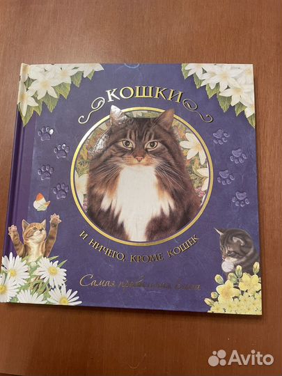 Книга. Кошки