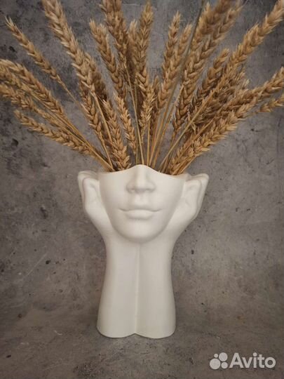 Медуза Горгона и мудрость