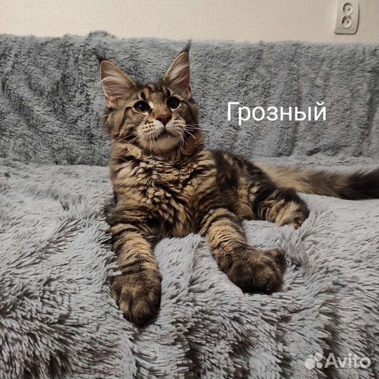 Джорно и Грозный