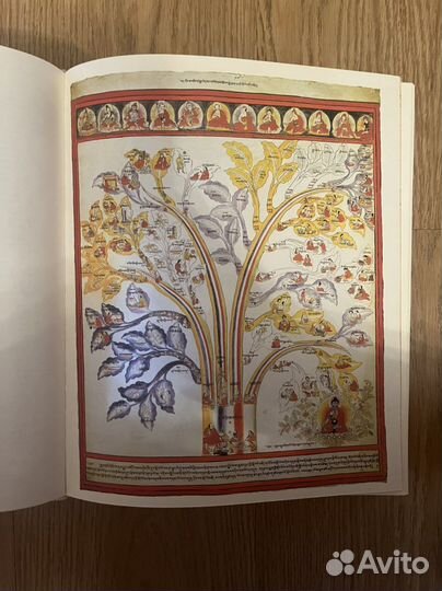 Атлас тибетской медицины