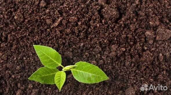 Торф Доставка