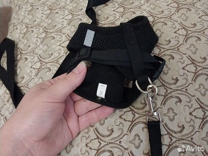 Шлейка для маленькой собаки