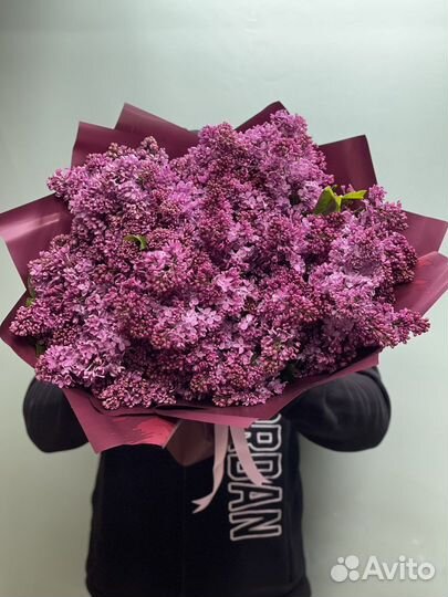 Сирень букет оптом
