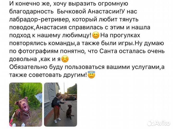 Передержка, выгул собак, зооняня