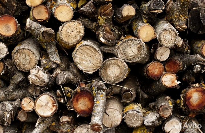 Дрова осина