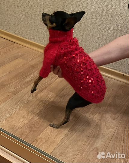 Свитер для собаки из пуха норки