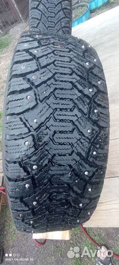 Cordiant Polar 195/65 R15