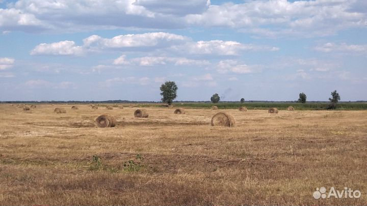 Сено рулонное