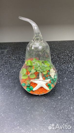 Флорариумы