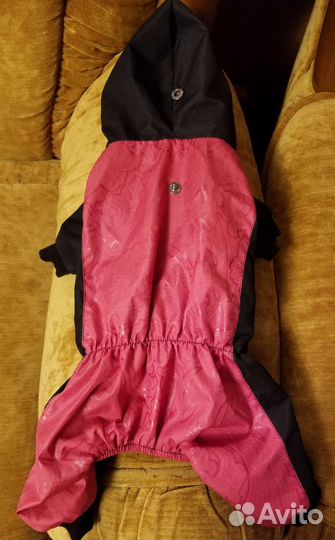 Комбинезон для собак и кошек. Интерактивная рыбка