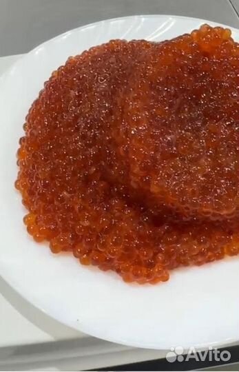 Икра лососевая Горбуша (икра красная). Вылов 2023г