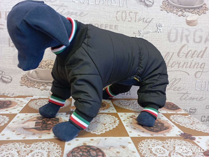 Одежда для маленьких собак