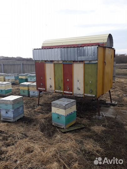 Пчелопавильон