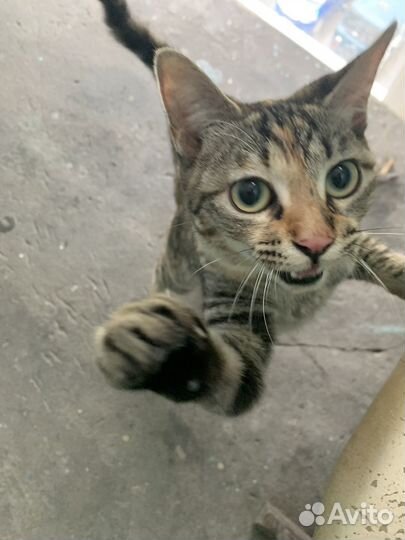 Подкинули в подъезд