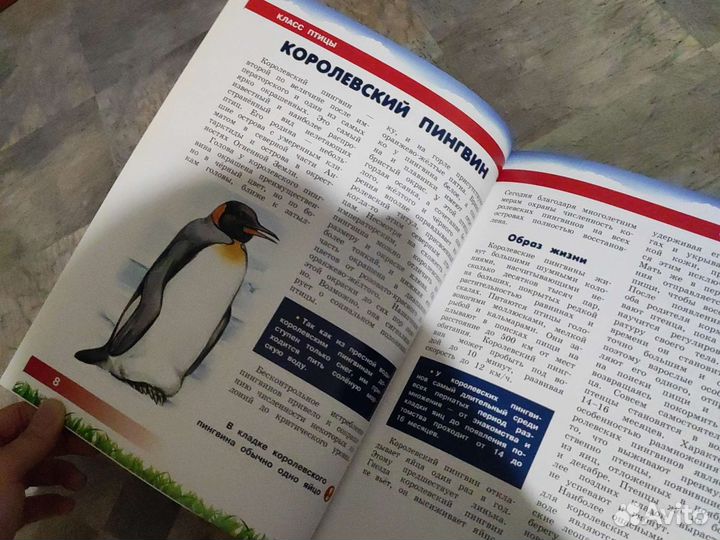 Энциклопедии детские